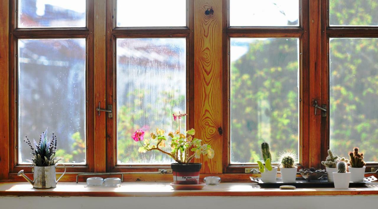 Vienna'S Most Charming Home المظهر الخارجي الصورة